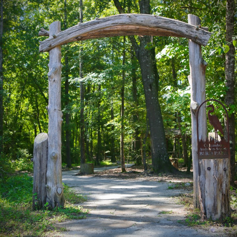 an archway leading to a nature trail