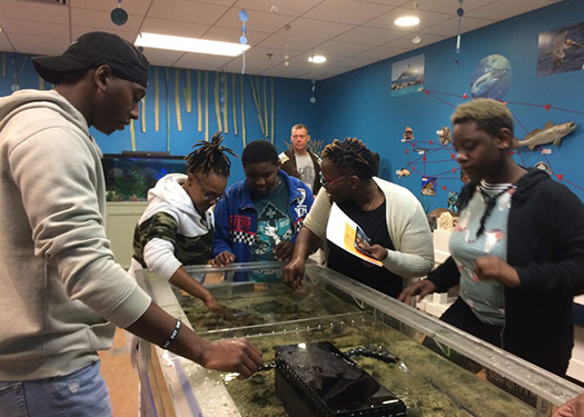 multiple students around a fish tank