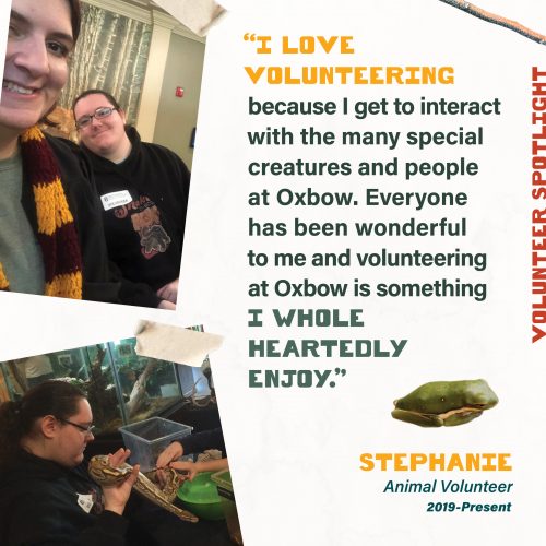 Volunteer Spotlight - I love volunteering because I get to interact with the many special creatures and people at Oxbow. Everyone has been wonderful to me and volunteering at Oxbow is something I whole heartedly enjoy. Stephanie Animal Volunteer 2019-Present