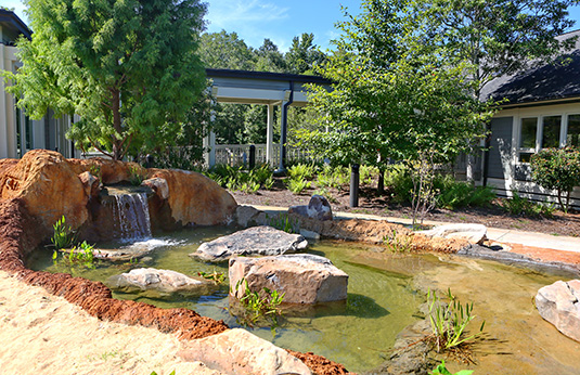 a pond with a waterfall