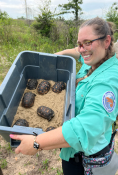 Woman holding tortoises