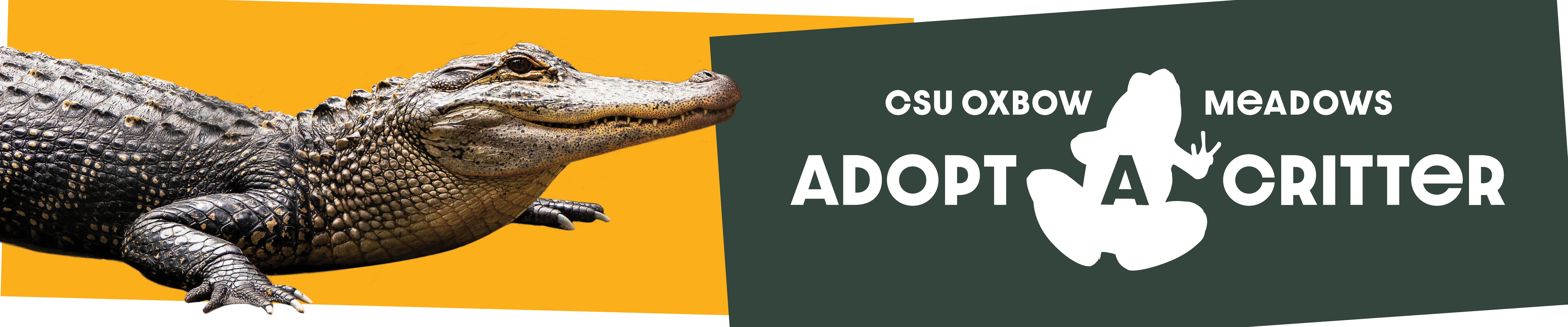 Adopt-A-Critter Logo with picture of Alligator