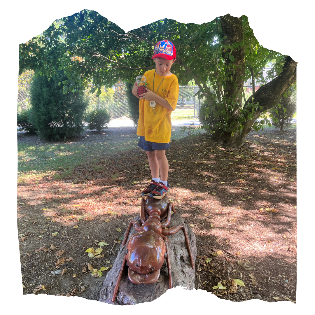 Animal Statue