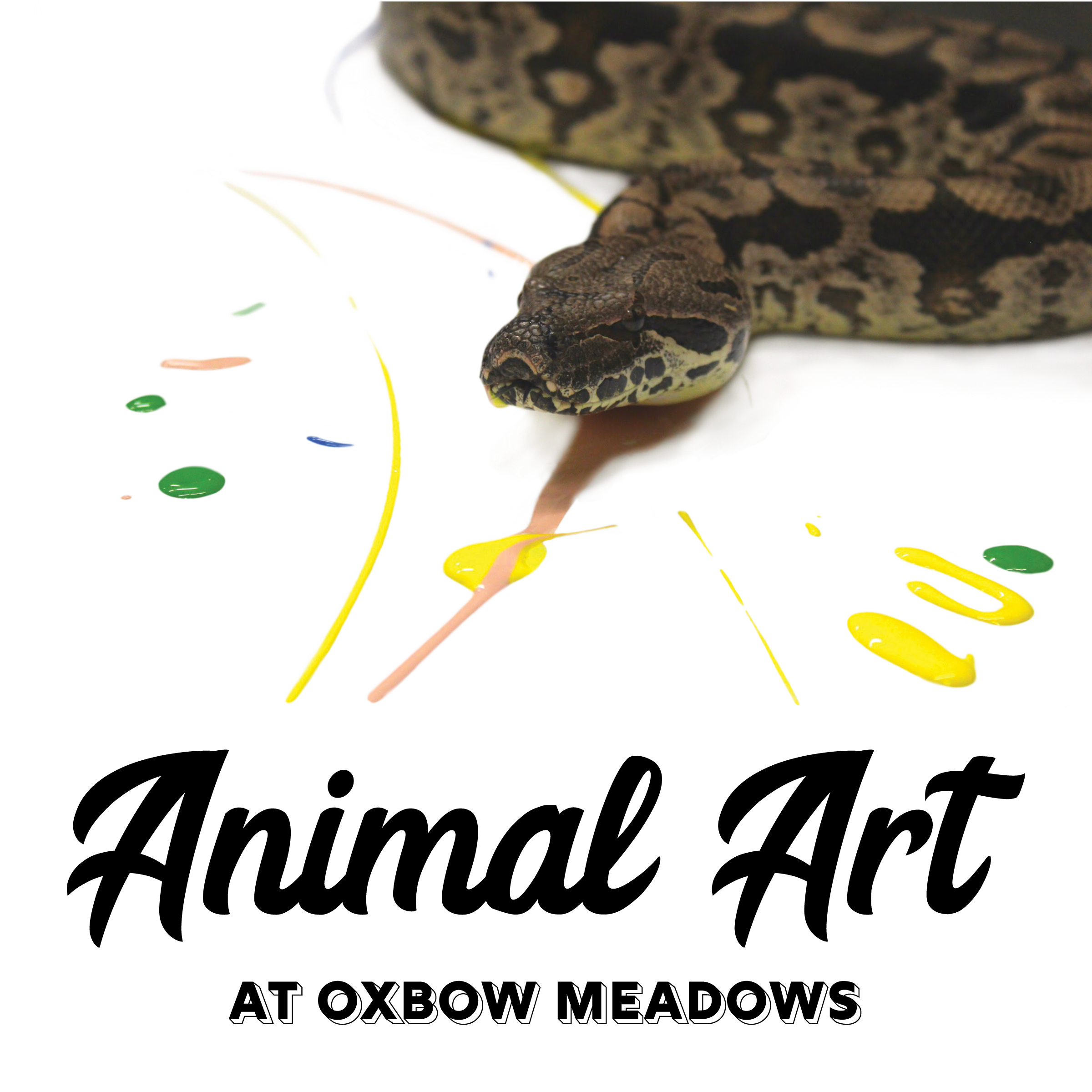 Image of a snake painting
