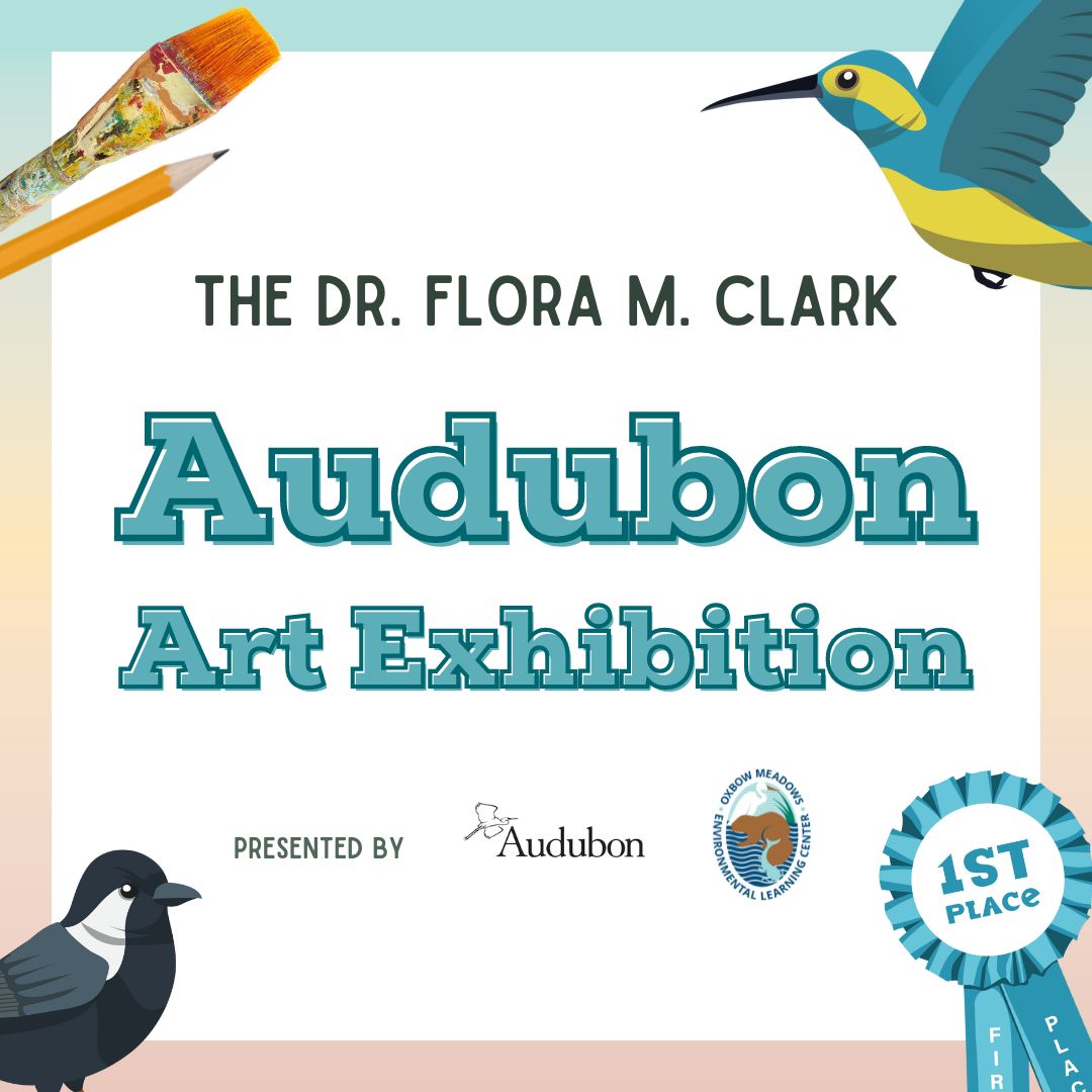Audubon Art Exhibtion