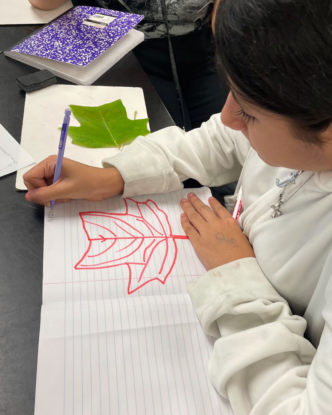Person seated at a table drawing a large leaf shape in a notebook with a pen. A real green leaf is placed on the table nearby, along with notebooks and writing materials.