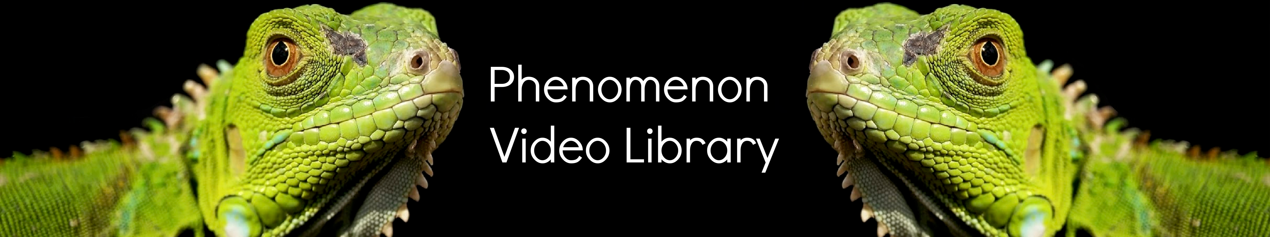 Phenomenon Video Library