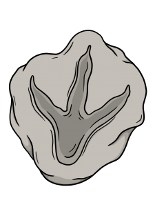 a fossilized footprint