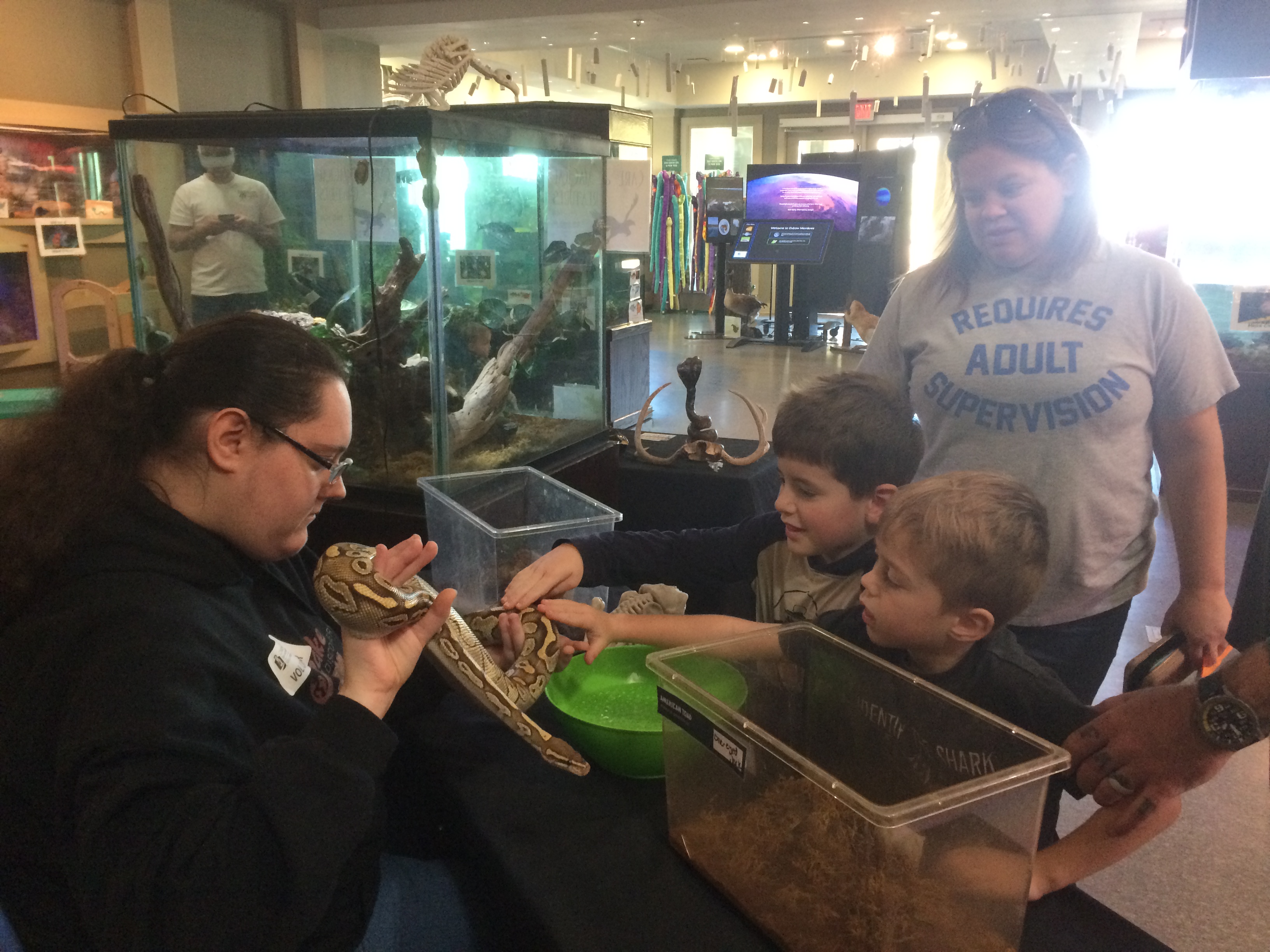 People meeting a snake