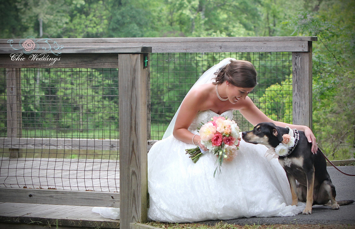 a woman in a wedding dress petting a dog