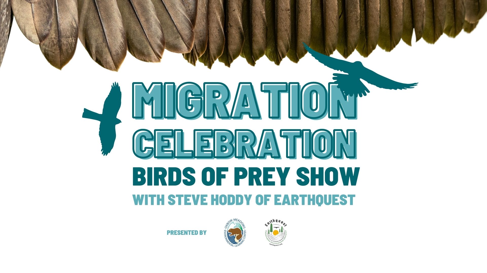 Migration Celebration Birds of Prey Show