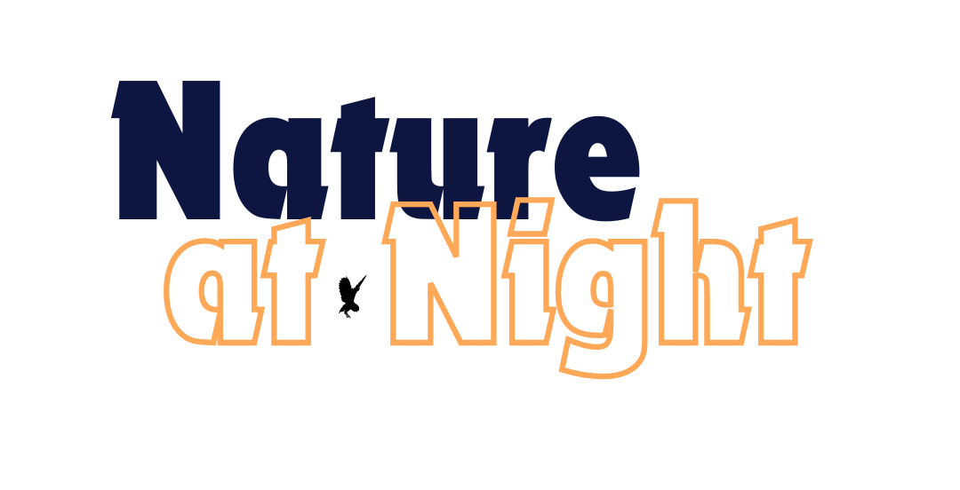 Nature at Night text