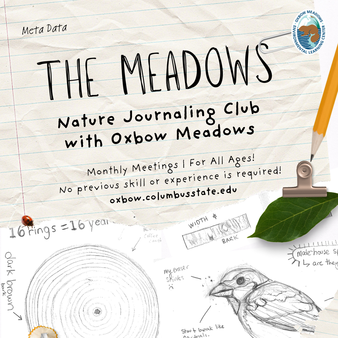 The Meadows Nature Journaling Club