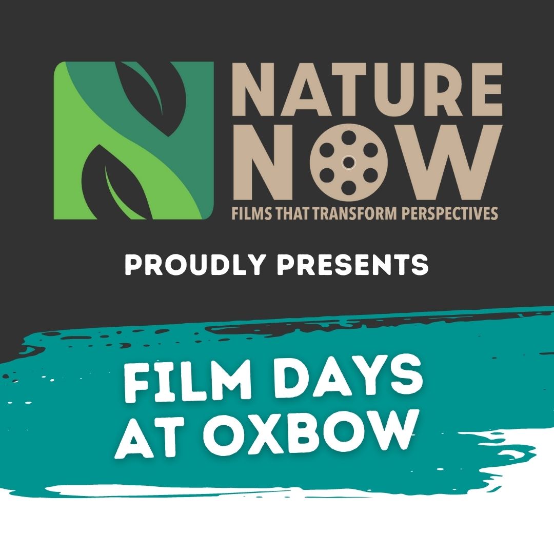 Nature Now Film Fest