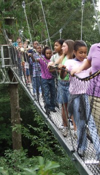 several children on a rope bridge