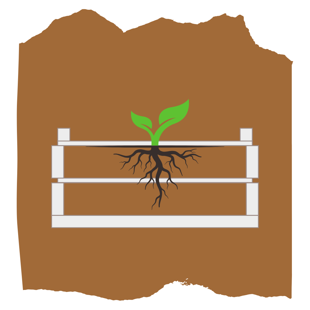Root Boxes