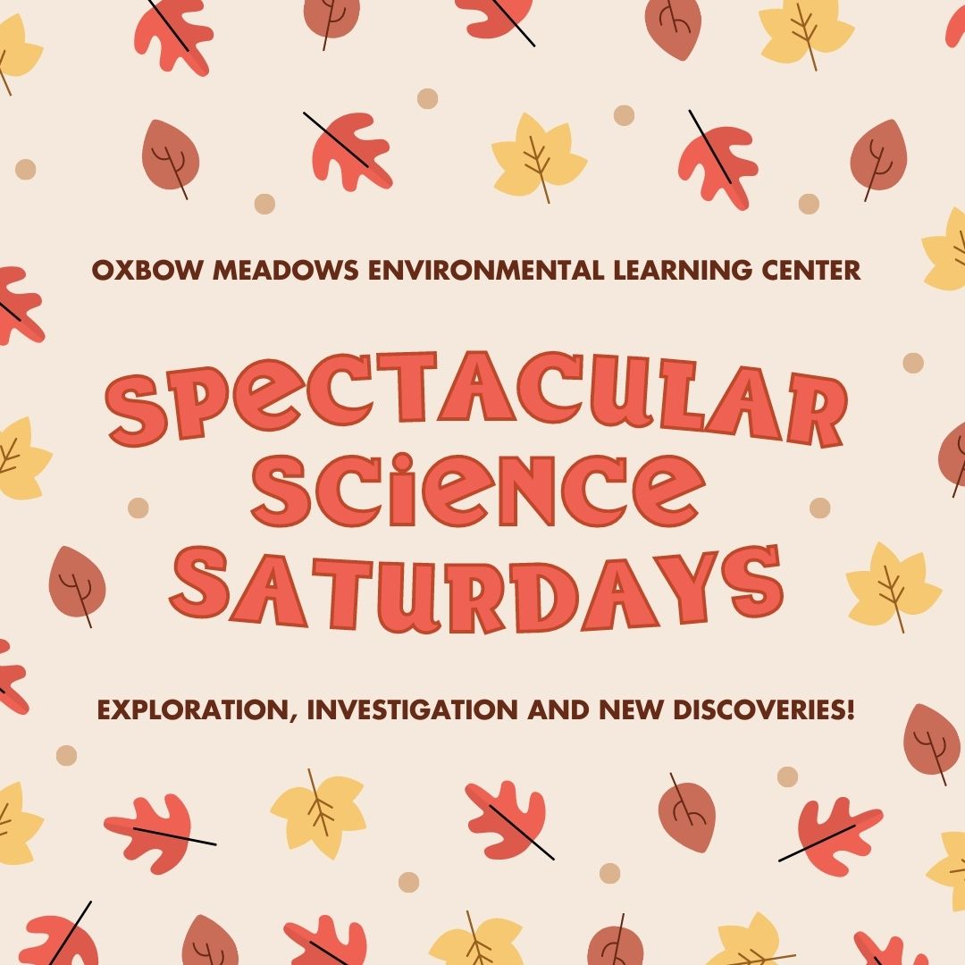 Spectacular Science Saturdays