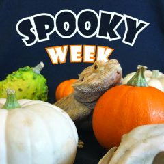 spooky week