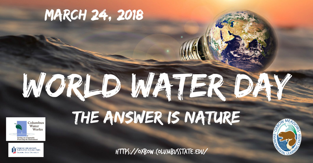 World Water Day The Answer is Nature March 24, 2018