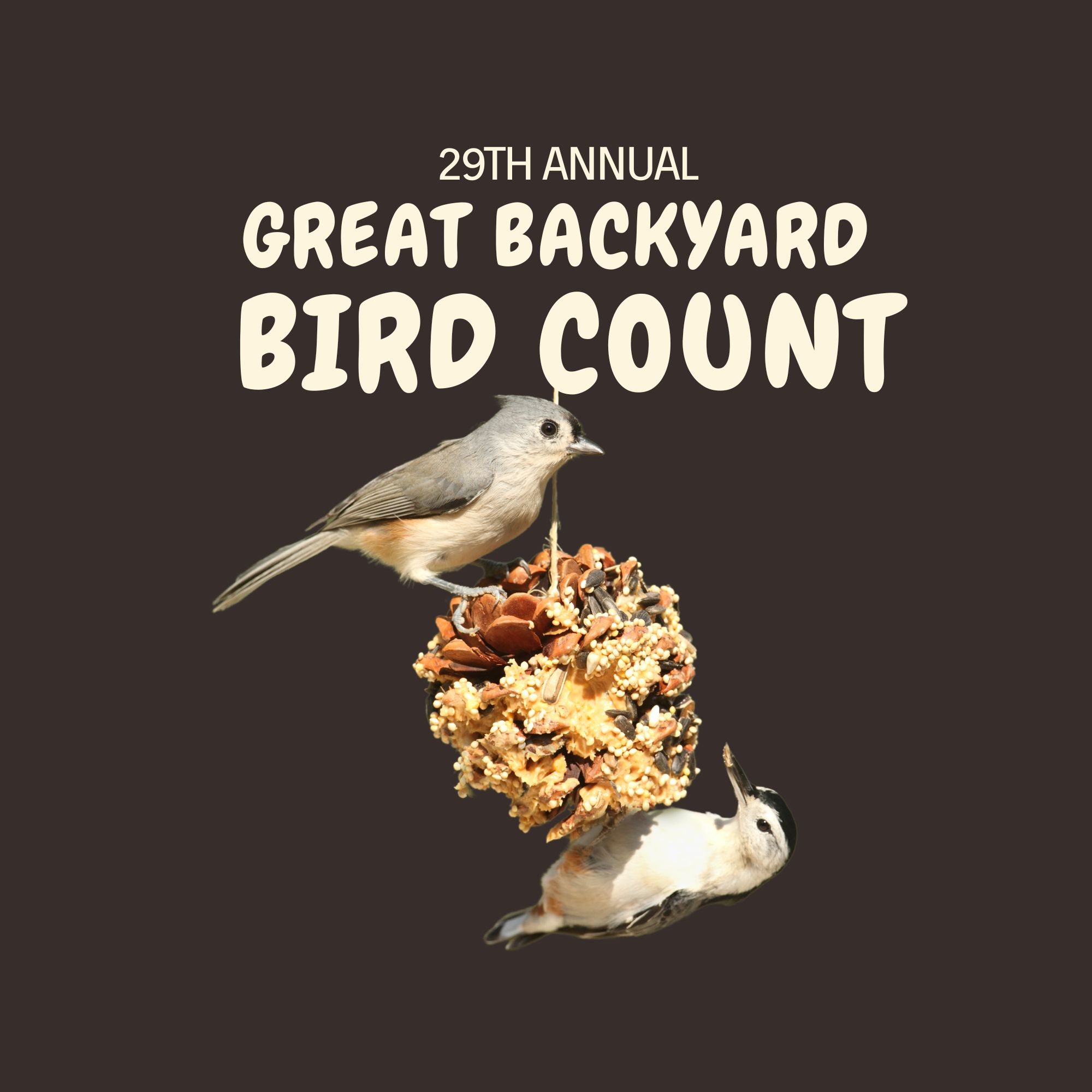 Backyard Bird Count Flyer