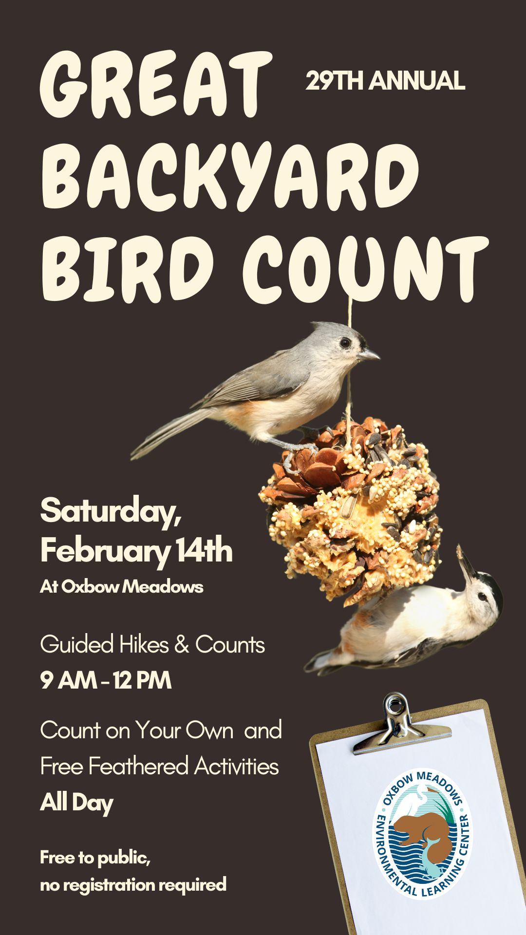 Great Backyard Bird Count Flyer