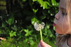 a girl blowing on a dandelion