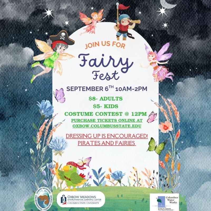 Fairy Fest Poster