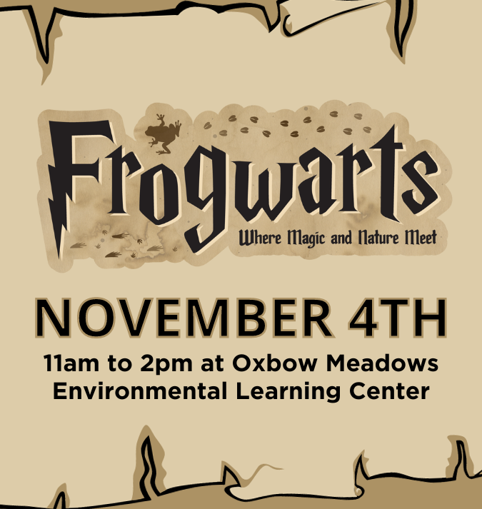 Frogwarts Events