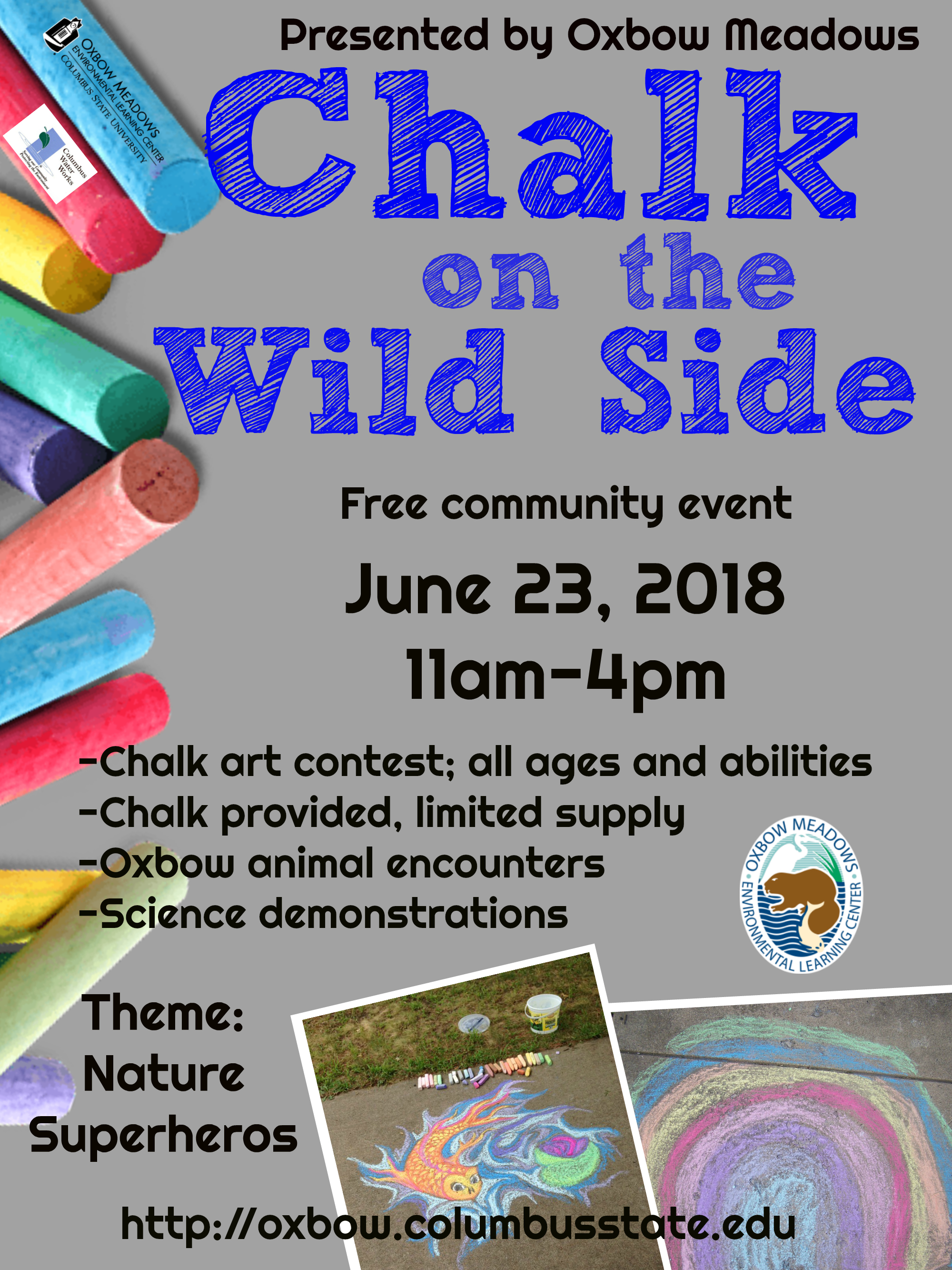Chalk on the Wild Side poster