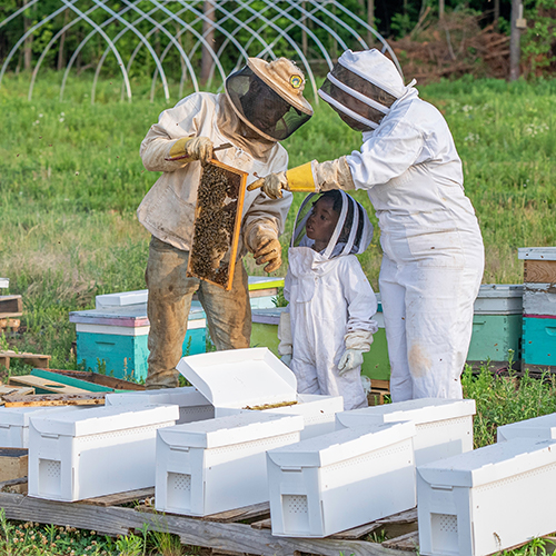 Jr Beekeeping Workshop