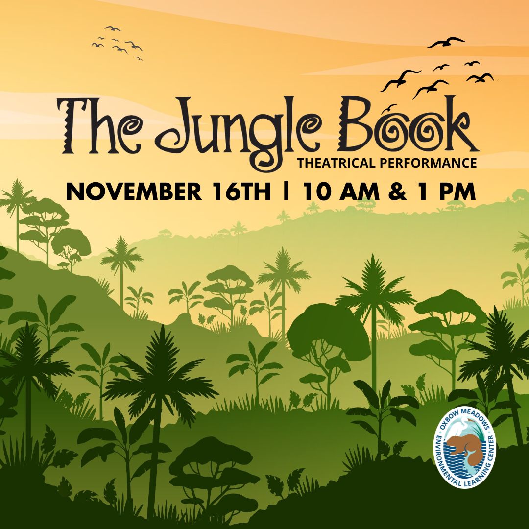 Jungle Book graphic