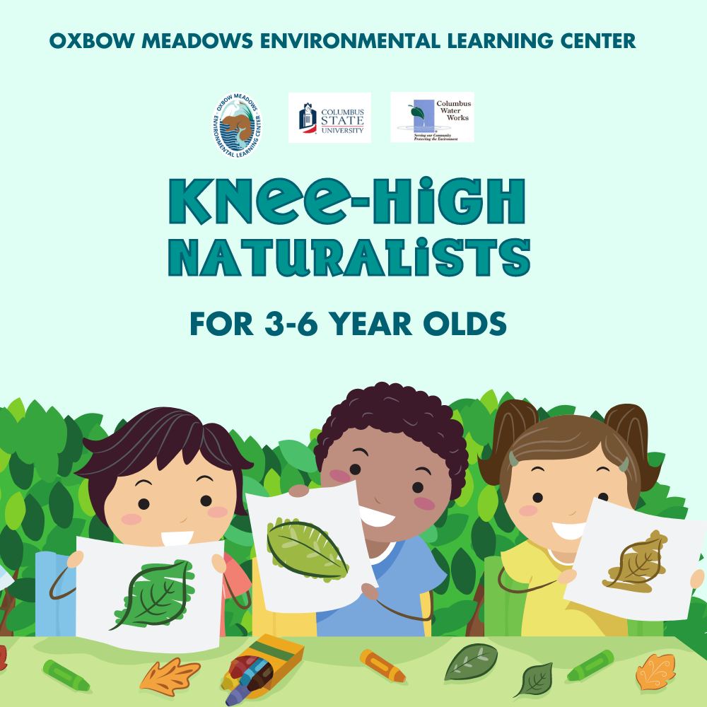 advertisement for kneehigh naturalist