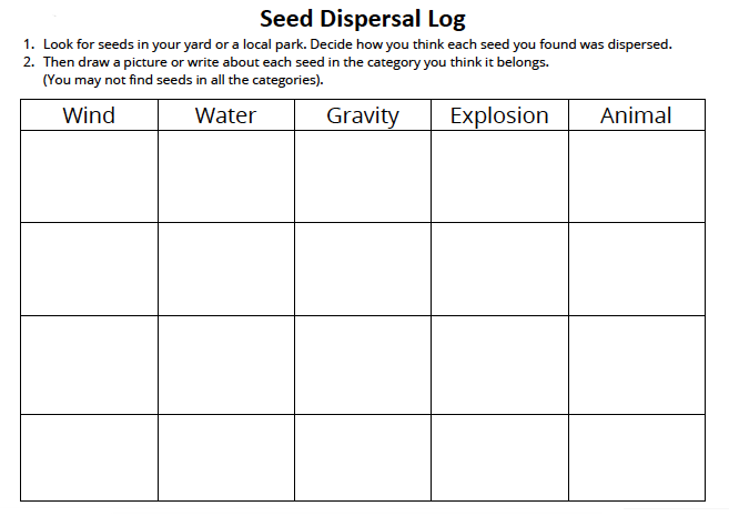seed dispersal log