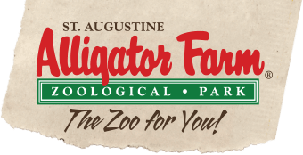 St. Augustine Alligator Farm Zoological Park The Zoo for You!