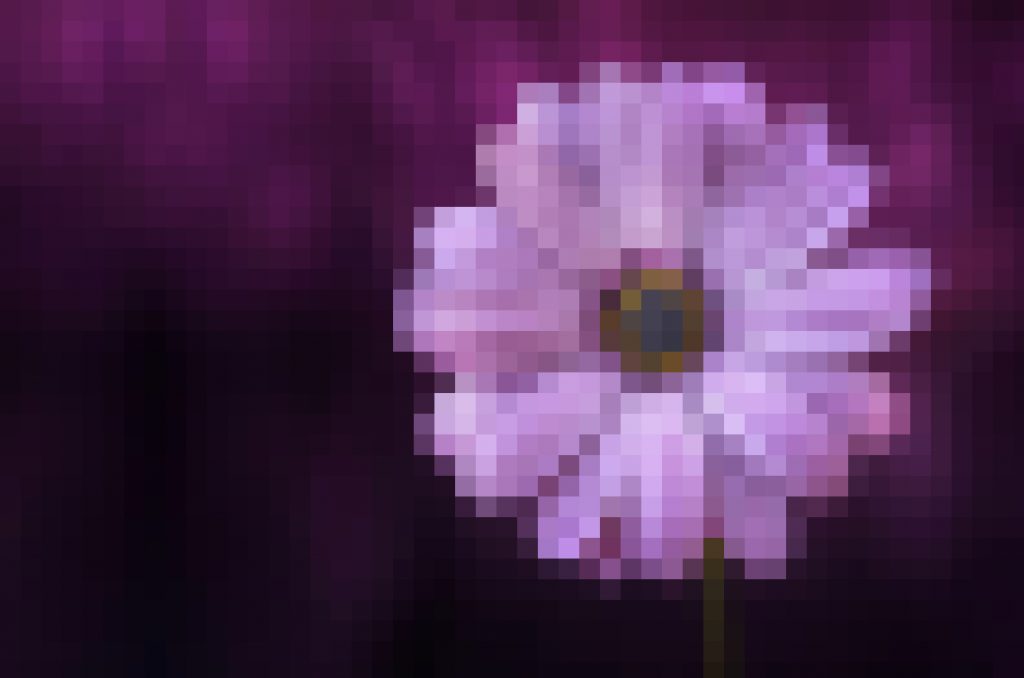 a purple pixelated flower