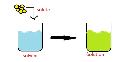 solute - solvent - solution