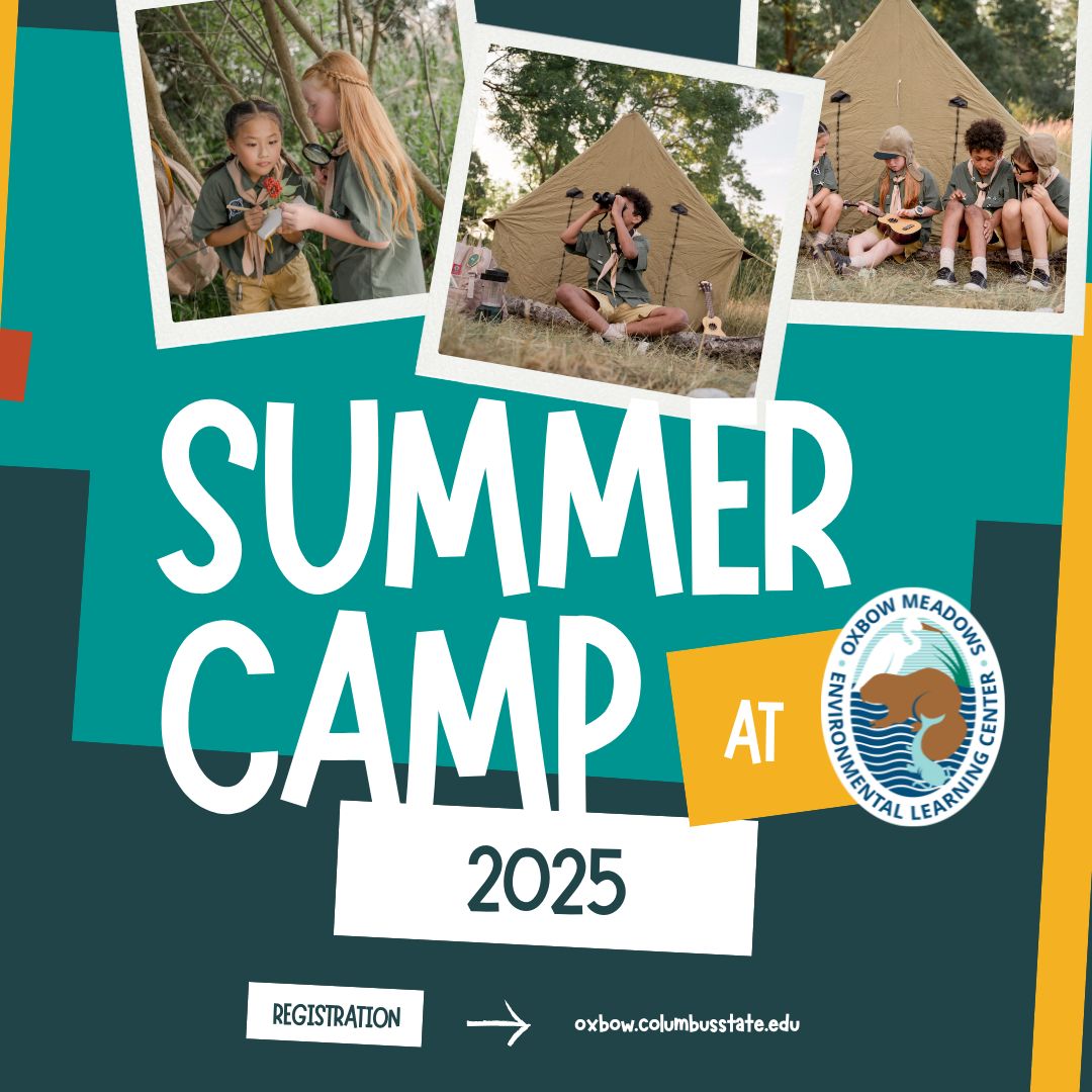 Summer Camp