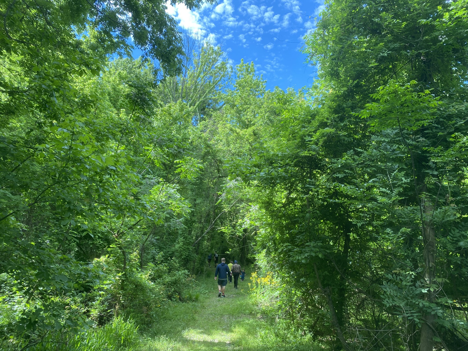 People walking on trail