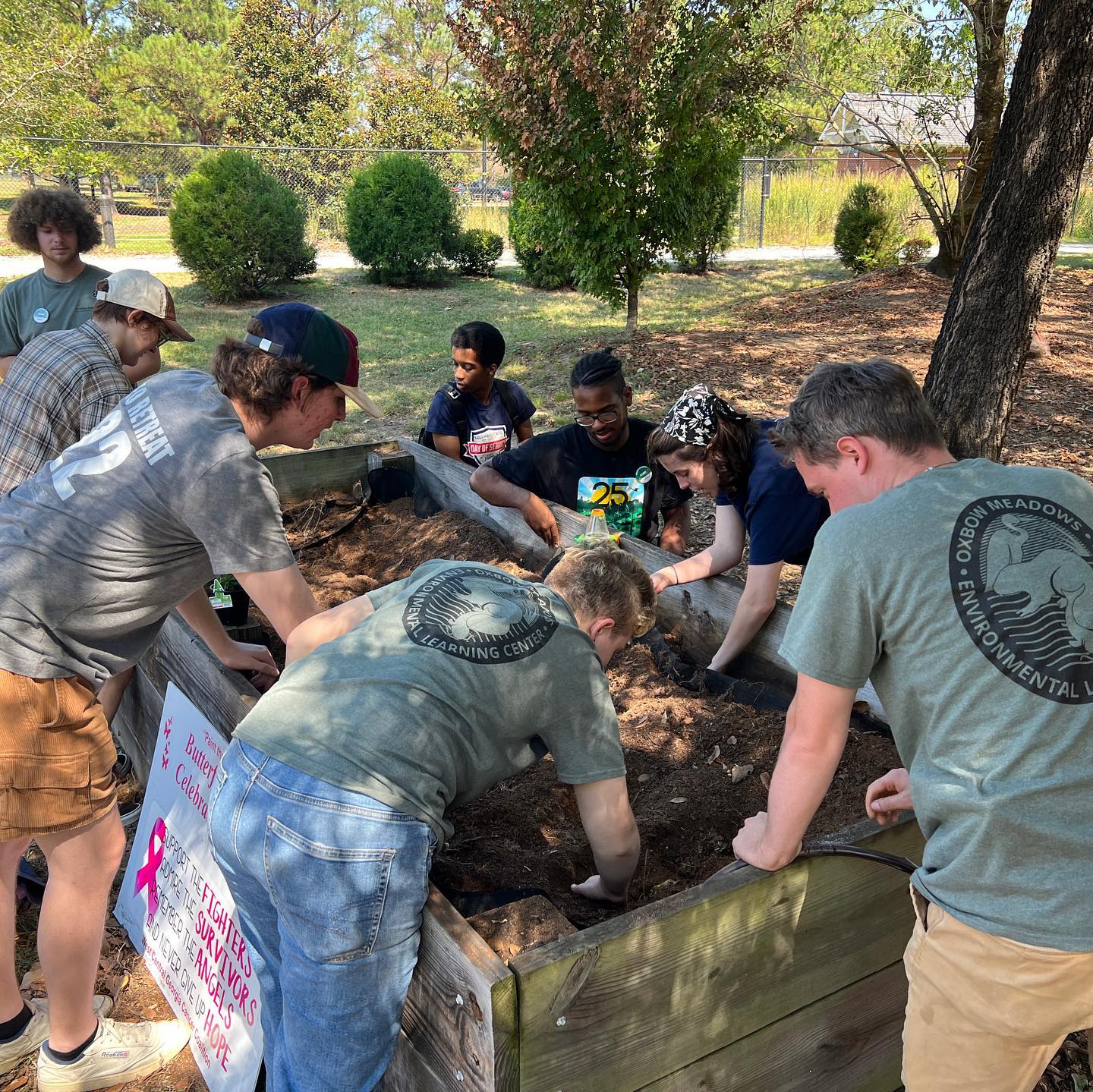 Volunteers planting flowers